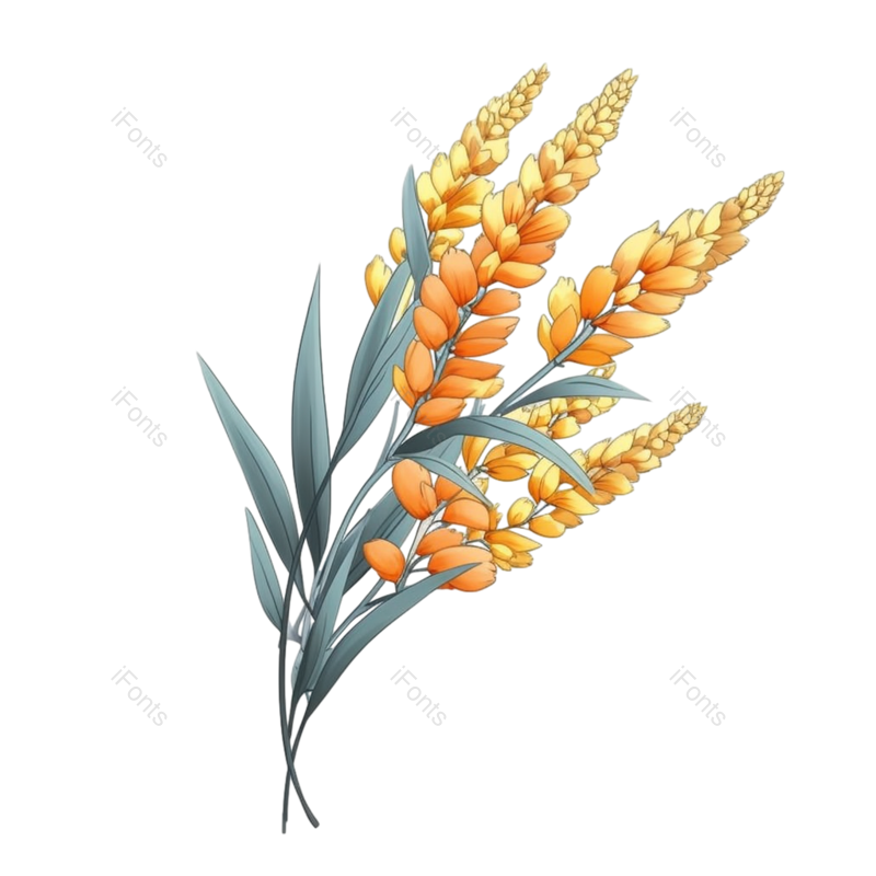 装饰图片,元素元素,秋天PNG,插画免抠素材